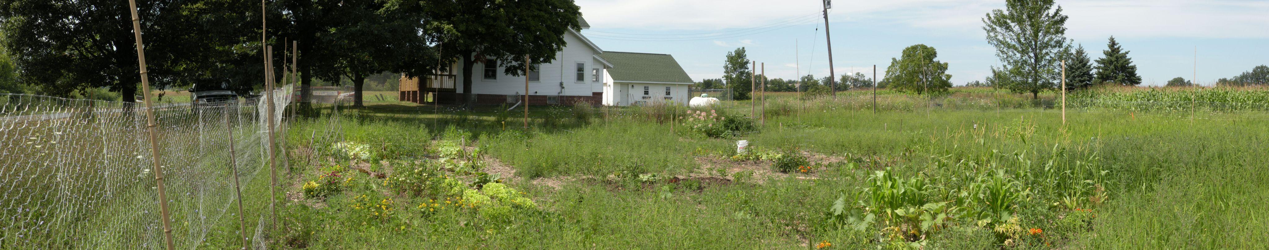 white house in field with wildflowers and a propane tank, large tree on right